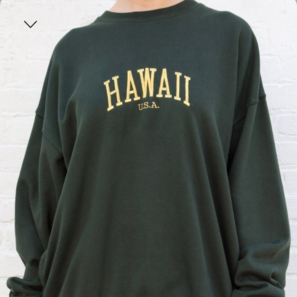 Erica Hawaii Sweatshirt *DO NOT BUY, TRADING WITH SOMEONE*
